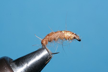 fertige tschechische Nymphe