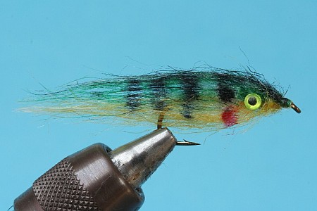 Faserfischchen