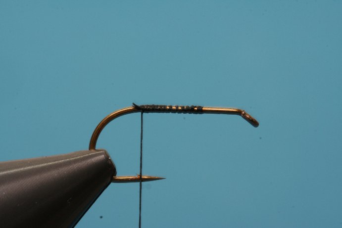 Rakkel001
