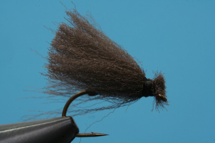 Rakkel008