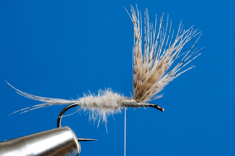 EntenflaumTrockenfliege-Abdomen