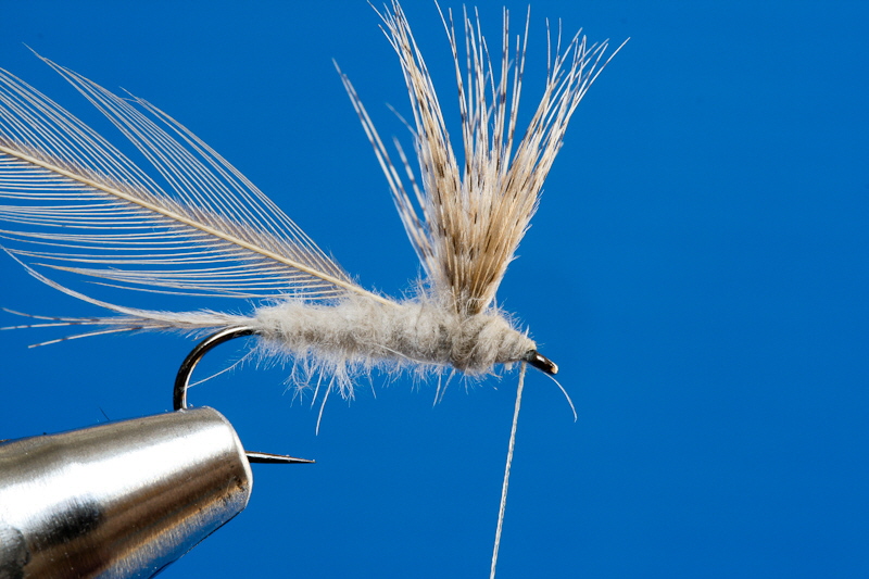 Entenflaum Trockenfliege-Vorderk�rper