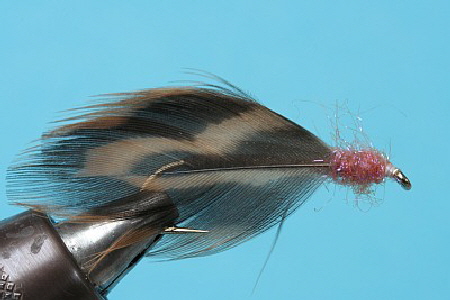 Koppenstreamer weiblich
